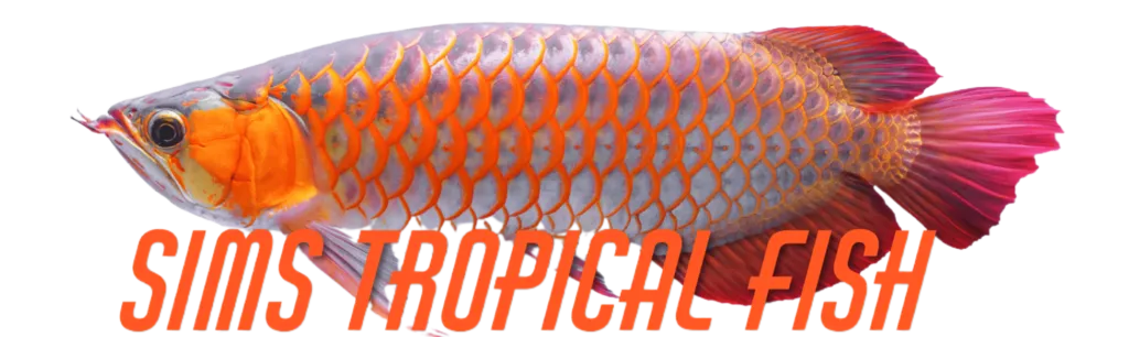 Sims Tropical Fish
