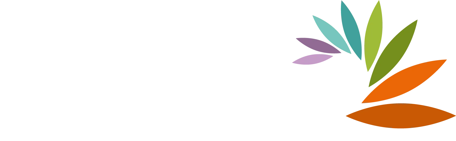Livewire Warrington
