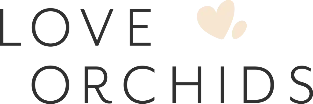 Love Orchids