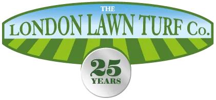 London Lawn Turf