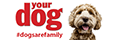 Your Dog