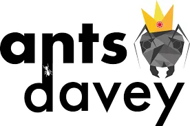 Antsdavey Promo Codes for April 2026