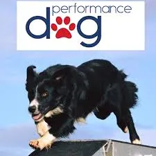 Performance Dog