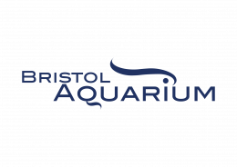 Bristol Aquarium