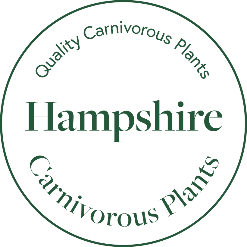 Hampshire Carnivorous Plants