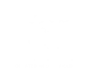 Flinn And Steel