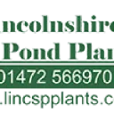 Lincspplants