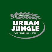 Urban Jungle