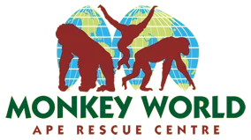 Monkey World