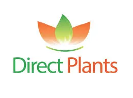 Direct Plants