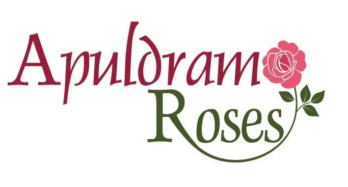 Apuldram Roses