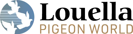 Louella Pigeon World
