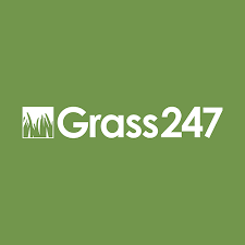 Grass247