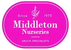Middleton Nurseries