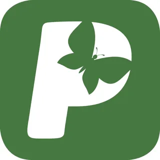 Partingtons